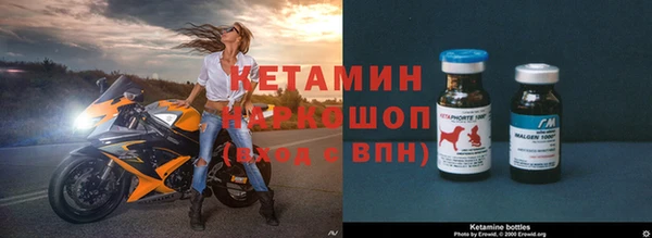 трава Кирсанов