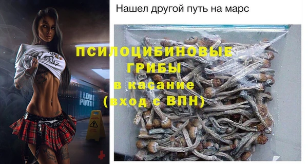 mdma Няндома