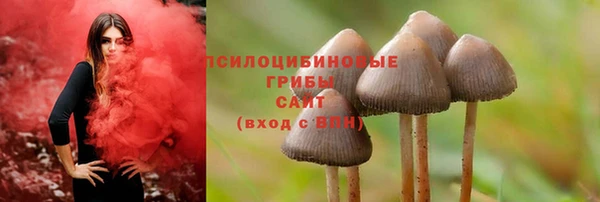 mdma Няндома