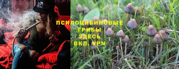 прущие крисы Нягань