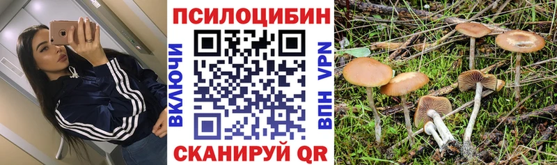 Псилоцибиновые грибы MAGIC MUSHROOMS  как найти   Касли 