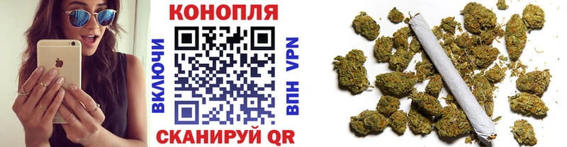 Бошки Шишки конопля  Касли 